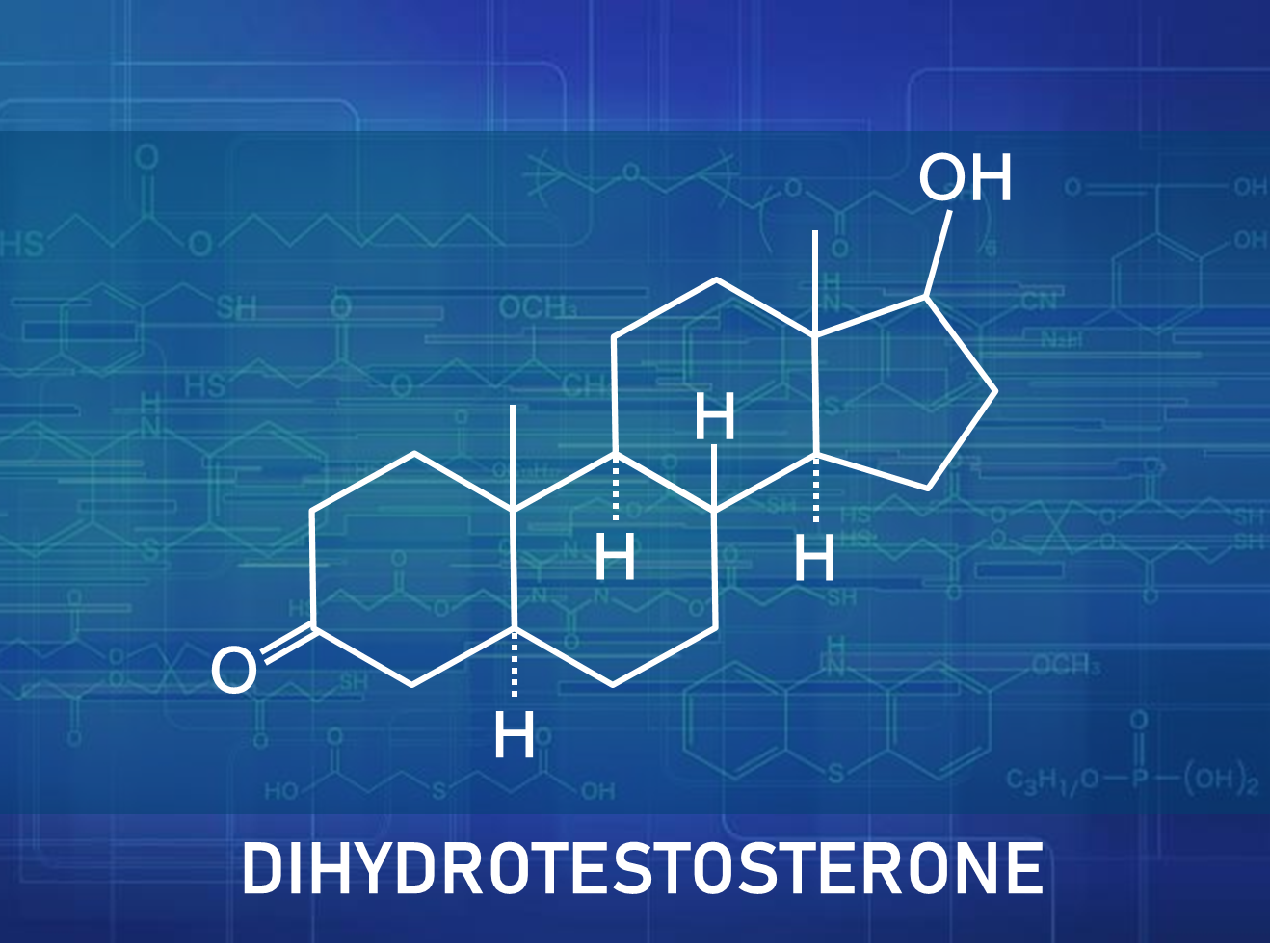 ジヒドロテストステロンとは？